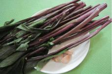 红菜苔叶子能吃!吗？为你介绍红菜苔的营养价值和美味做法！
