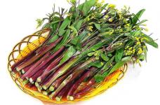 红菜苔哪个品种更好吃?简单几步教你轻松分辨！