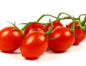 樱桃番茄的营养价值和功效作用介绍！樱桃番茄怎么吃更营养？