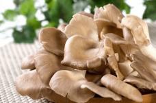 还不知道凤尾菇怎么做？教你做出鲜美又好吃的凤尾菇佳肴！ 