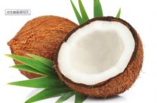 椰子为什么被叫做越王头？椰子的营养功效及食用方法介绍