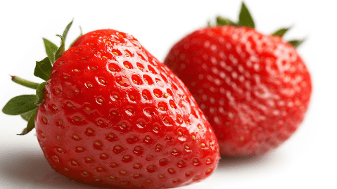 草莓的养殖方法和注意事项！怎样培育能让你的草莓硕果累累？