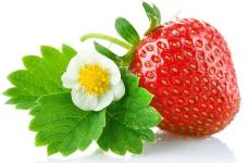 草莓怎么保存？这样存放吃到的草莓才最新鲜！
