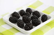 黑莓的养殖方法和注意事项！这样养你的黑莓才能高产！