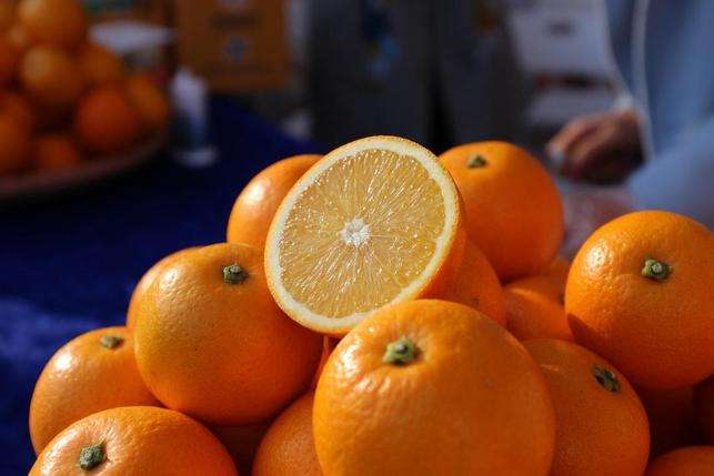 鹿寨蜜橙的养殖方法和注意事项！这样养鹿寨蜜橙才能结出更多的果实！