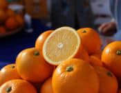 鹿寨蜜橙的养殖方法和注意事项！这样养鹿寨蜜橙才能结出更多的果实！