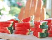 西瓜的养殖方法和注意事项介绍!西瓜怎么种植更香甜？