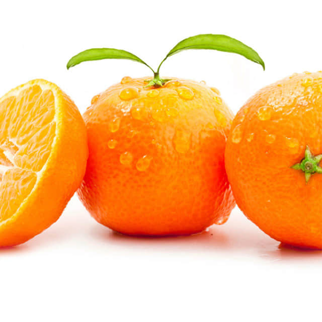 蜜橘的养殖方法和注意事项介绍！蜜橘怎么种植更好吃？