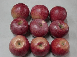 秦冠苹果怎么食用？秦冠苹果食用方法和营养价值介绍！