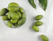 橄榄的种植方法和注意事项介绍！橄榄怎么种才能结果？