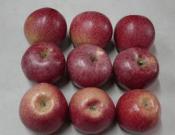 秦冠苹果怎么食用？秦冠苹果食用方法和营养价值介绍！