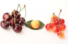 樱桃和车厘子是一种水果吗?樱桃和车厘子到底谁更好吃?