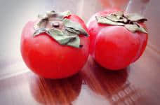 柿子树要几年才能结出美味柿子?种植的方法原来那么简单！