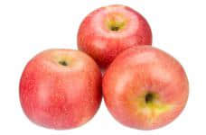 红富士苹果多少钱一斤你知道吗?各个地区的价格又有什么不同呢?
