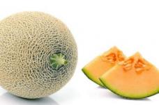 晓蜜瓜和哈密瓜有何不同?怎么区别晓蜜瓜和哈密瓜？
