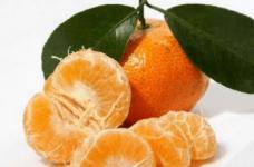 砂糖橘怎么“修”才好吃?砂糖橘树怎么修剪？