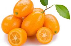 你想弄清楚金桔与金橘的区别吗?只要知道这些就能轻易分辨啦!
