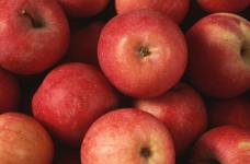 大国光苹果有什么特点？口味独特的苹果 吃过的人都忘不掉！
