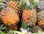 菠萝怎么吃更有营养？菠萝食用方法和营养价值介绍！
