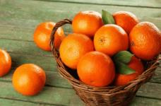 橘子和桔子有什么区别？南方北方叫法不同！