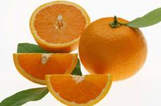 橙子和橘子的区别是什么？橙子要管橘子叫爸爸！