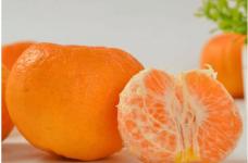橘子桔子傻傻分不清楚?一篇文章看懂二者区别！