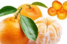 芦柑、橘子傻傻分不清楚?赶紧来看看芦柑与橘子的区别吧!