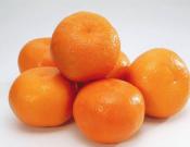 橘子高清大图大全!橘子大图一览!