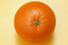 橙子图片大图大全!橙子高清大图大全!