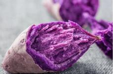 紫薯可以做哪些甜品?营养丰富还好吃的甜品做法怎能错过!