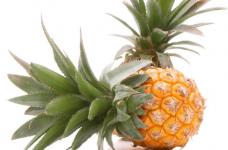 菠萝功效与作用及禁忌是什么？菠萝功效与作用及禁忌介绍！