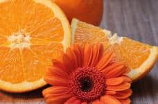你听说过橙子是杂交的吗?马上了解美味橙子的历史及它的营养价值!