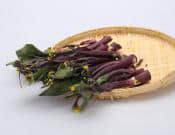 红菜苔的食用方法和营养价值介绍!红菜苔怎么料理更好吃？