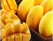 芒果的营养价值和注意事项介绍！芒果这样吃才美味！