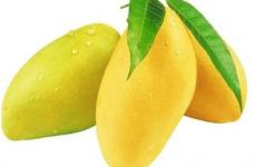 芒果吃多了会怎么样?爱吃芒果的人请注意！芒果吃多了对身体也有伤害!