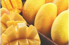 芒果的功效和禁忌是什么?带你全面剖析芒果的营养价值!