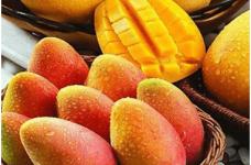 芒果属于凉性还是热性?喜爱吃芒果的朋友请注意!芒果吃多了可能会上火！