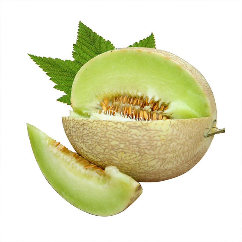 白兰瓜食用方法和营养价值介绍！白兰瓜种植方法介绍！