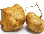 凉薯的营养介绍和注意事项！怎么才能把凉薯吃出健康？