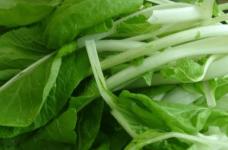 小白菜有什么的功效？多吃小白菜让你的身体更健康！