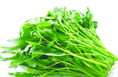 竹叶菜的营养价值和食用方法介绍！这样做出的竹叶菜又香又脆！