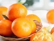 柑橘的种植要点和注意事项！柑橘类水果介绍！