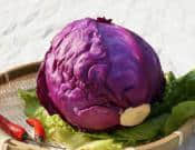 紫甘蓝的营养价值介绍！紫甘蓝怎么做好吃呢？