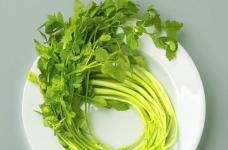水芹菜叶子可以吃吗？带你全面了解水芹菜！