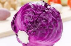 紫甘蓝的营养价值介绍！吃紫甘蓝有哪些好吃呢？