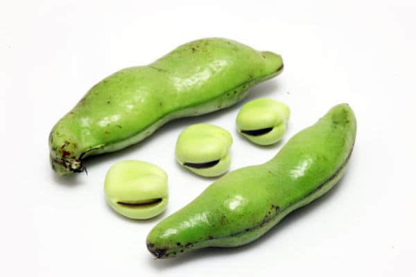 蚕豆有哪些营养价值和功效？关于蚕豆的食用方法和注意事项介绍！