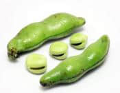 蚕豆有哪些营养价值和功效？关于蚕豆的食用方法和注意事项介绍！