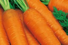 红萝卜有什么营养？红萝卜营养价值介绍！