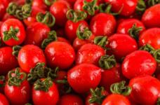 喜欢吃樱桃番茄却不知什么时候上市?告诉你美味的樱桃番茄什么时候成熟!