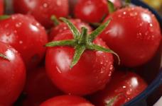 樱桃番茄的亩产量能达到多少?关注樱桃番茄的朋友们注意了!